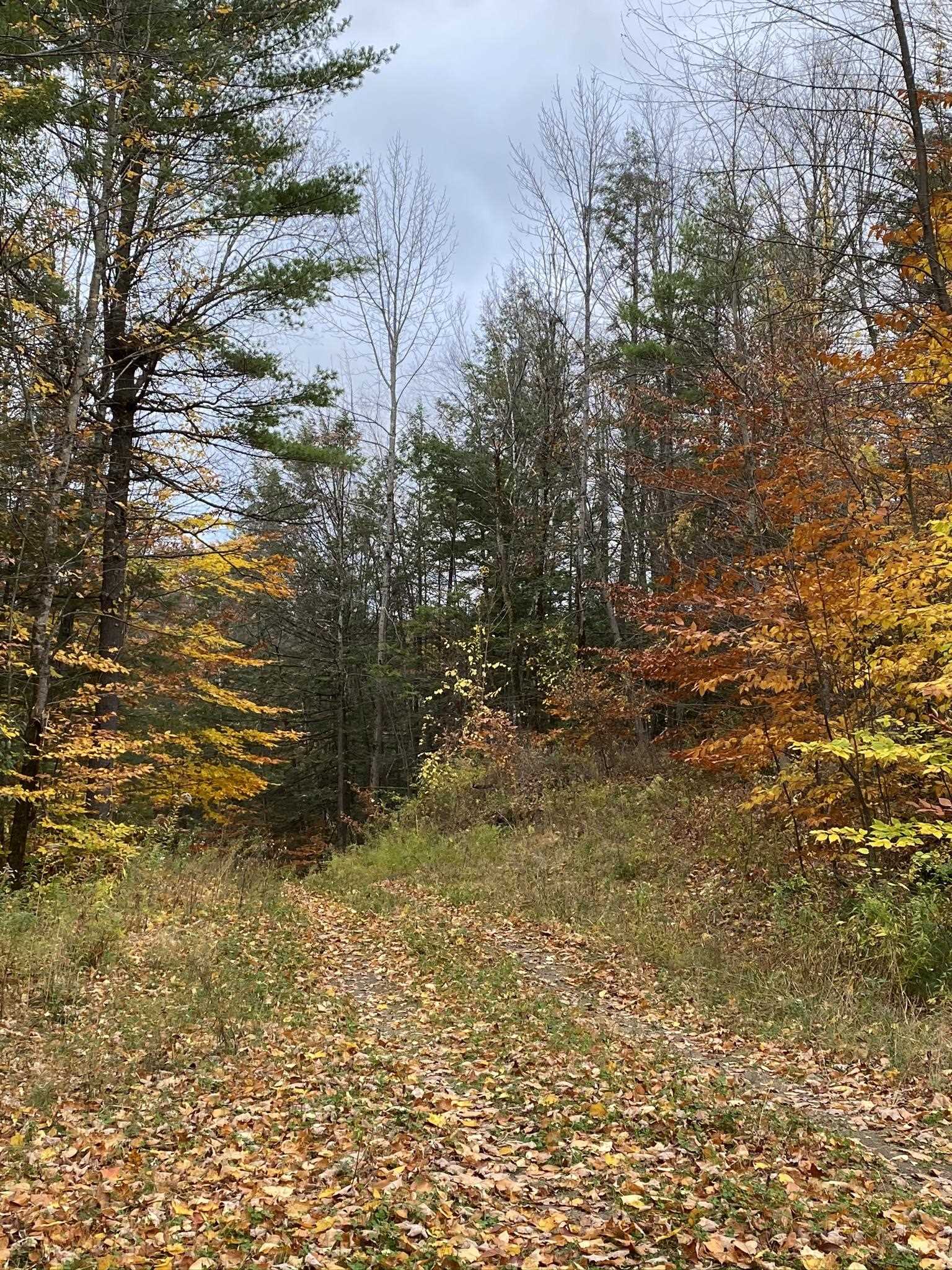 1270 Melendy Hill Road Guilford, VT 05301 - Photo 11 of 16