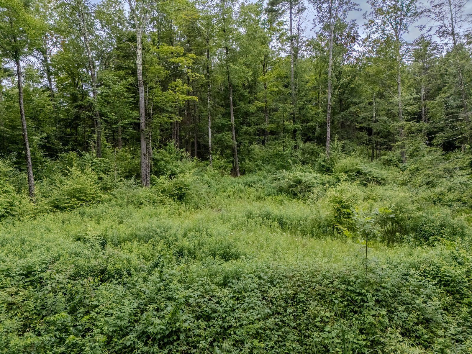 1270 Melendy Hill Road Guilford, VT 05301 - Photo 12 of 16