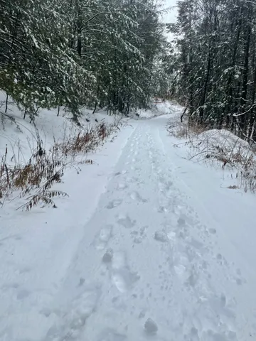 $259,900 | 1270 Melendy Hill Road, Guilford, VT 05301