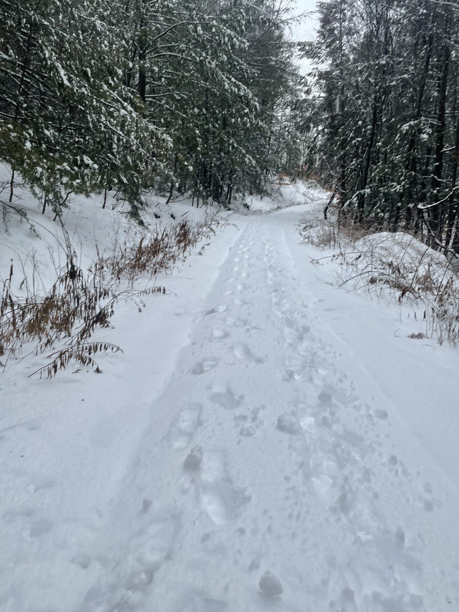 1270 Melendy Hill Road Guilford, VT 05301 - Photo 4 of 16