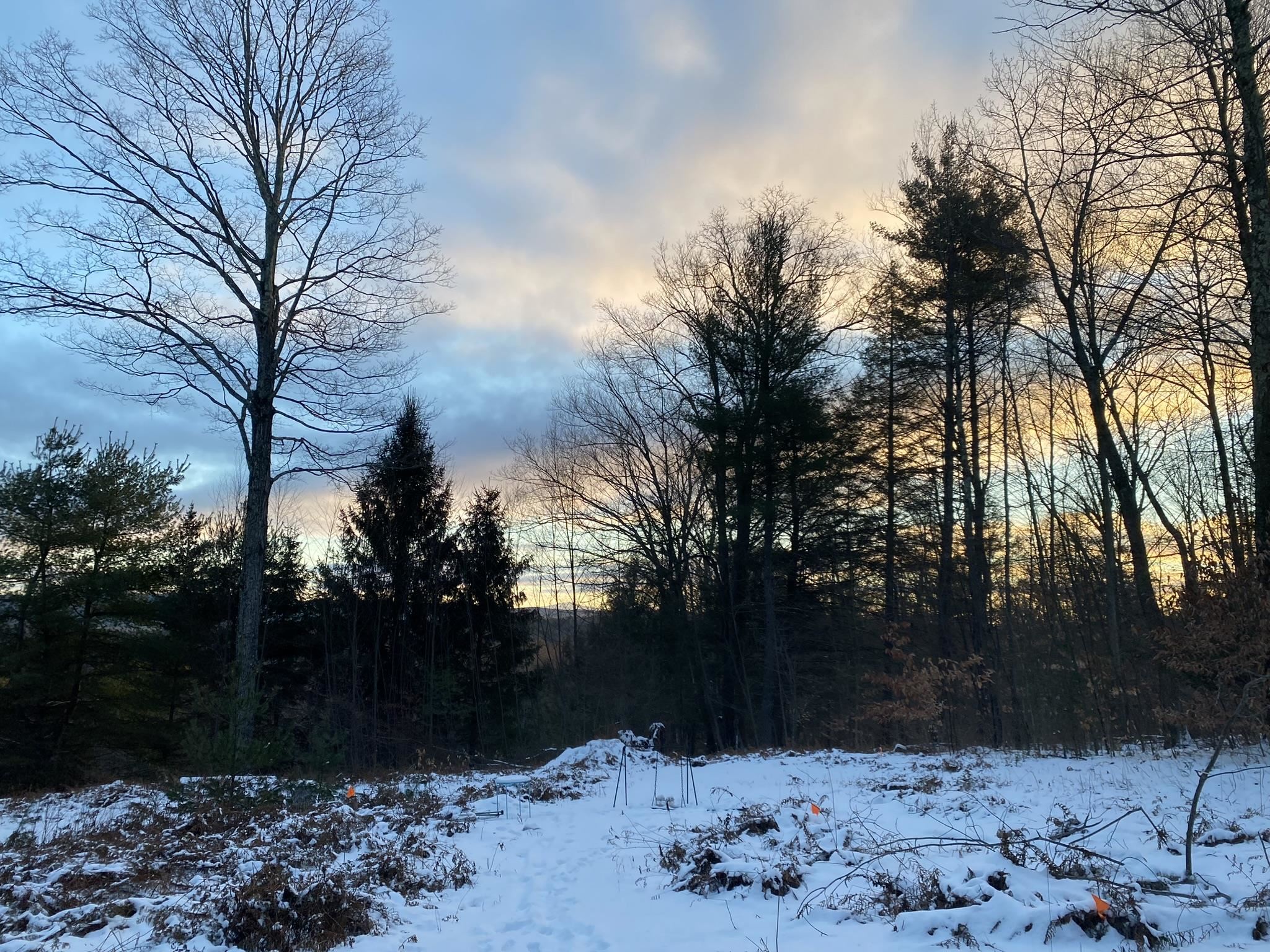 1270 Melendy Hill Road Guilford, VT 05301 - Photo 5 of 16