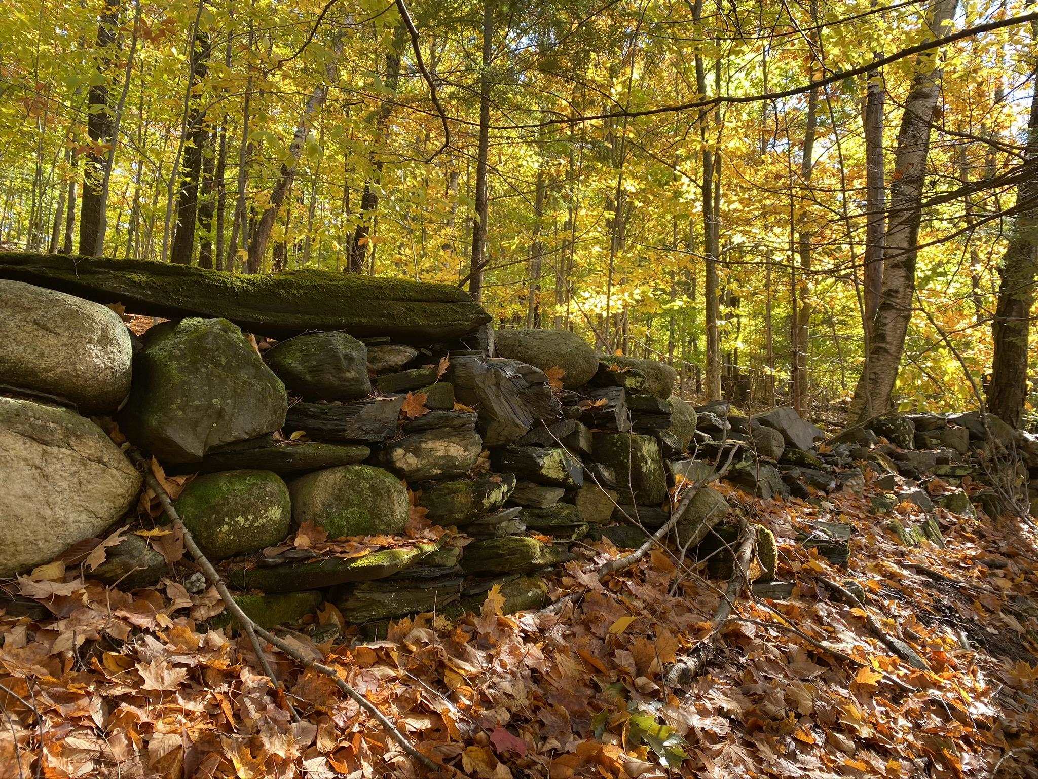 1270 Melendy Hill Road Guilford, VT 05301 - Photo 8 of 16