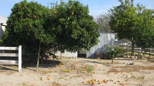$524,000 | 12283 East Dinuba Avenue, Selma, CA 93662