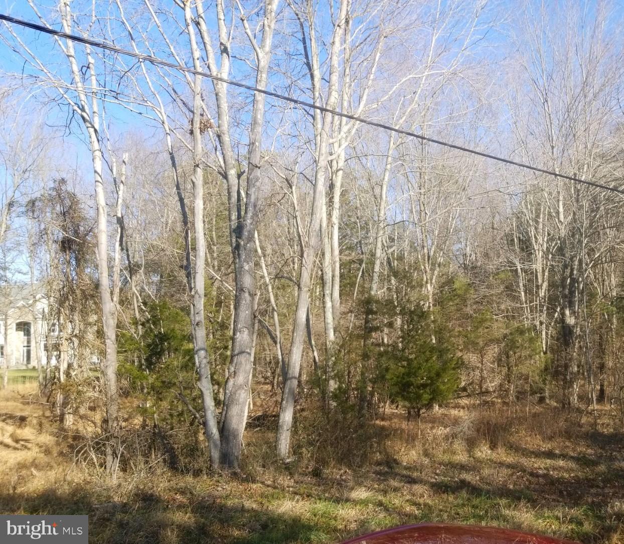 16604 Gaines Road Broad Run, VA 20137 - Photo 4 of 5 Gallery Image 4