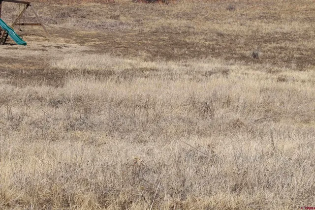 $20,000 | 1572 Hills Circle, Pagosa Springs, CO 81147