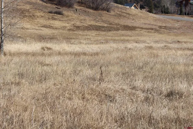 $20,000 | 1572 Hills Circle, Pagosa Springs, CO 81147