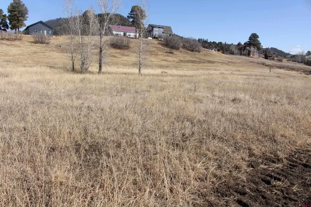 $20,000 | 1572 Hills Circle, Pagosa Springs, CO 81147