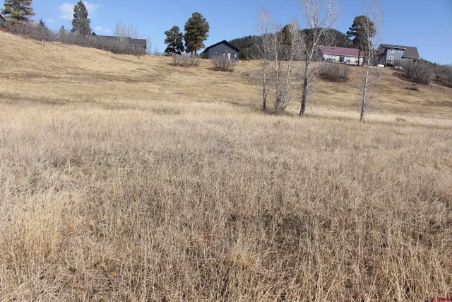 $20,000 | 1572 Hills Circle, Pagosa Springs, CO 81147