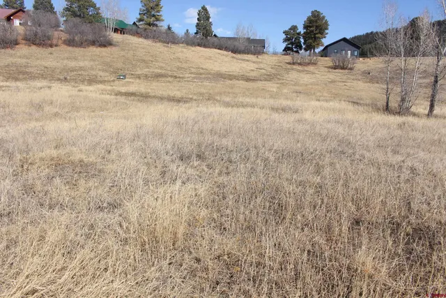 $20,000 | 1572 Hills Circle, Pagosa Springs, CO 81147