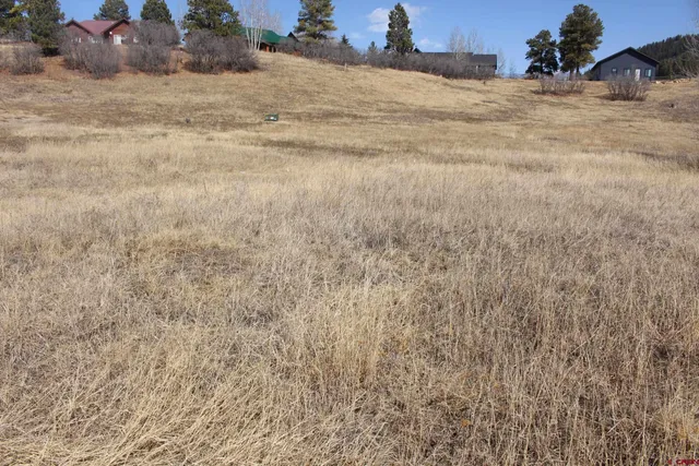 $20,000 | 1572 Hills Circle, Pagosa Springs, CO 81147