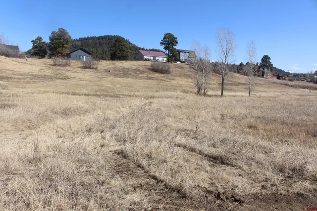 $20,000 | 1572 Hills Circle, Pagosa Springs, CO 81147