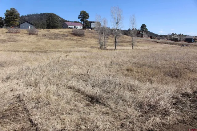$20,000 | 1572 Hills Circle, Pagosa Springs, CO 81147