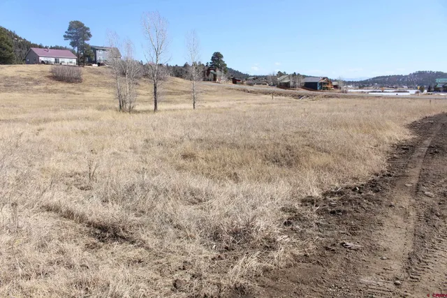 $20,000 | 1572 Hills Circle, Pagosa Springs, CO 81147