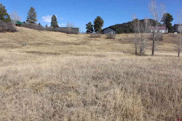 $20,000 | 1572 Hills Circle, Pagosa Springs, CO 81147