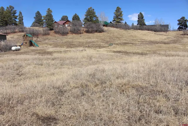 $20,000 | 1572 Hills Circle, Pagosa Springs, CO 81147