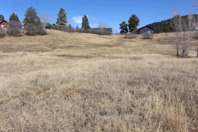 $20,000 | 1572 Hills Circle, Pagosa Springs, CO 81147