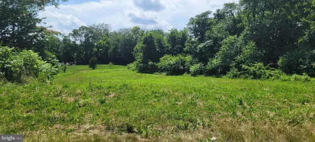 a view of yard with green space
