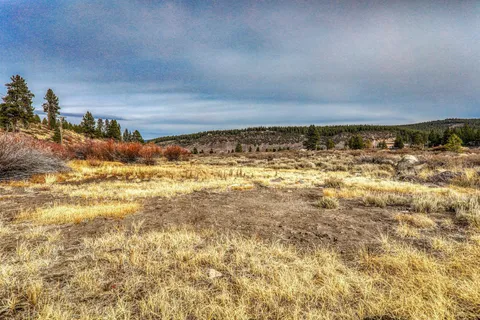a view of a big yard