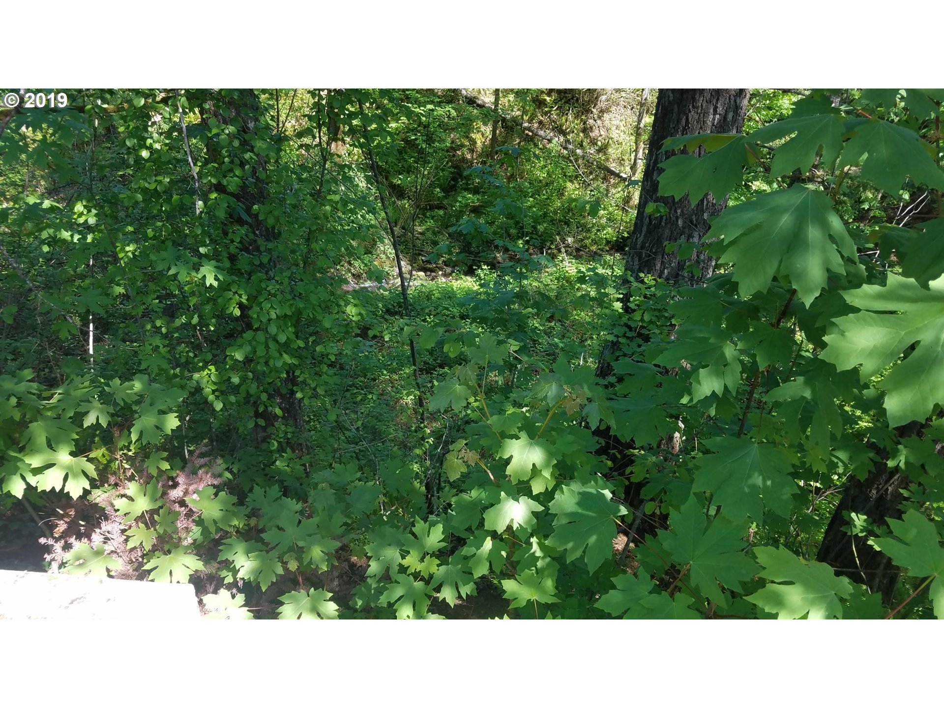540 Northwest Kanaka Creek Road Stevenson, WA 98648 - Photo 19 of 23 Creek