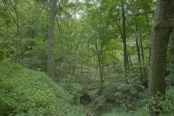 $80,000 | 4820 Kopper Pond Road, Hanover, IL 61041