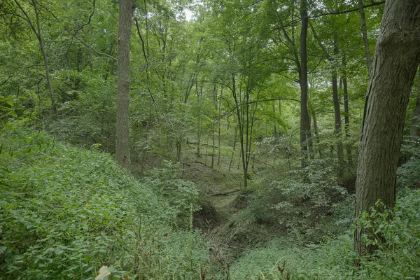 $80,000 | 4820 Kopper Pond Road, Hanover, IL 61041