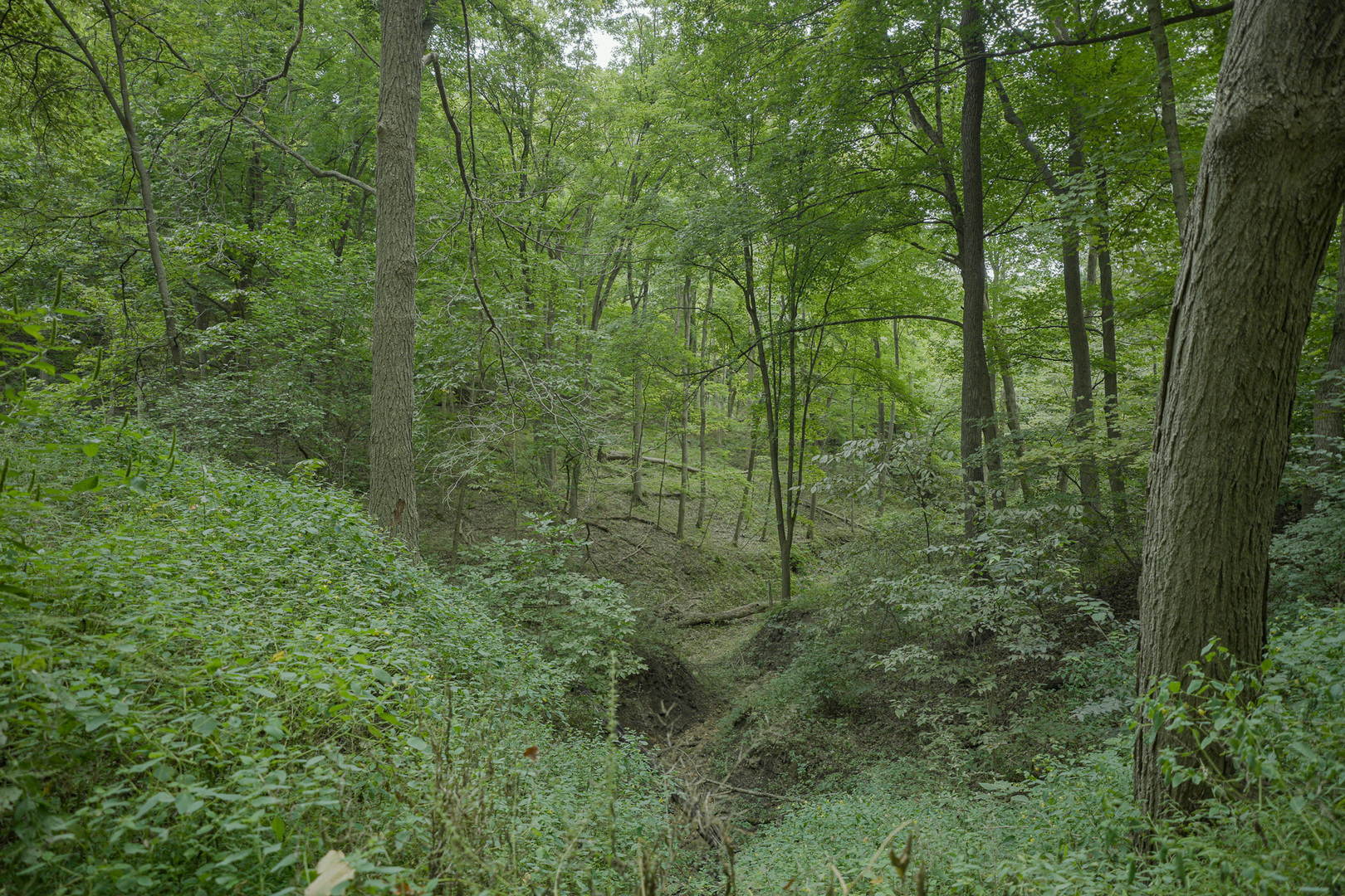 4820 Kopper Pond Road Hanover, IL 61041 - Photo 13 of 43