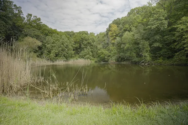 $80,000 | 4820 Kopper Pond Road, Hanover, IL 61041