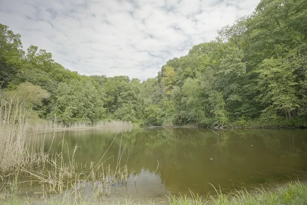 $80,000 | 4820 Kopper Pond Road, Hanover, IL 61041