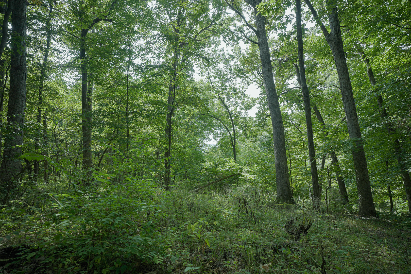 4820 Kopper Pond Road Hanover, IL 61041 - Photo 2 of 43