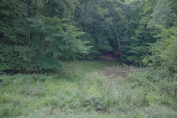 $80,000 | 4820 Kopper Pond Road, Hanover, IL 61041