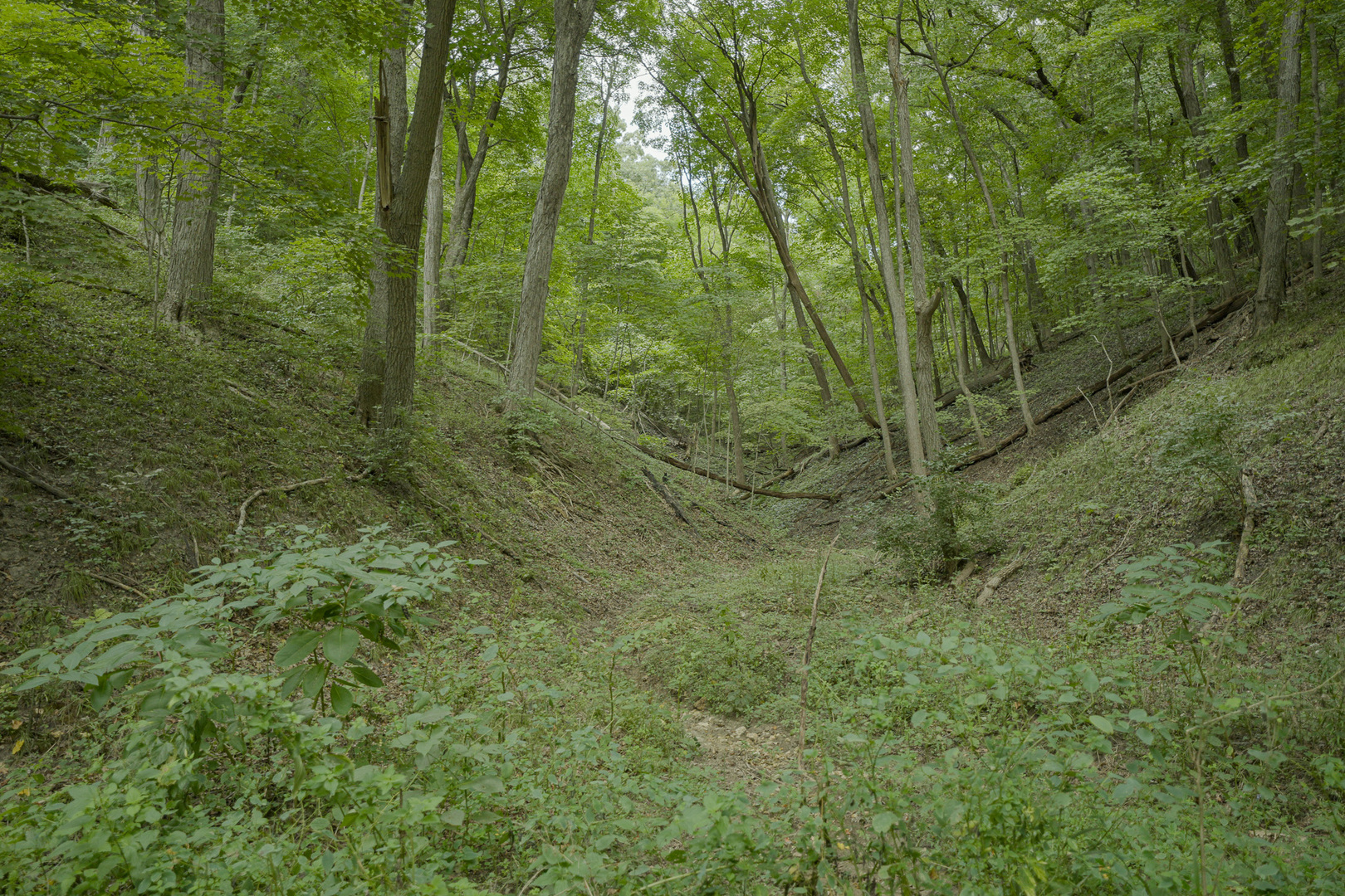 4820 Kopper Pond Road Hanover, IL 61041 - Photo 23 of 43