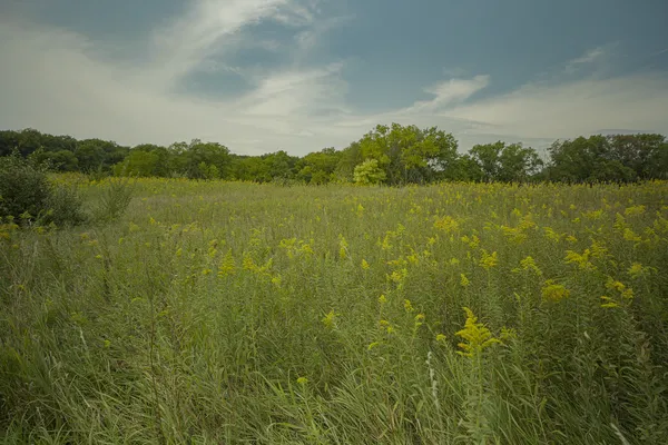 $80,000 | 4820 Kopper Pond Road, Hanover, IL 61041