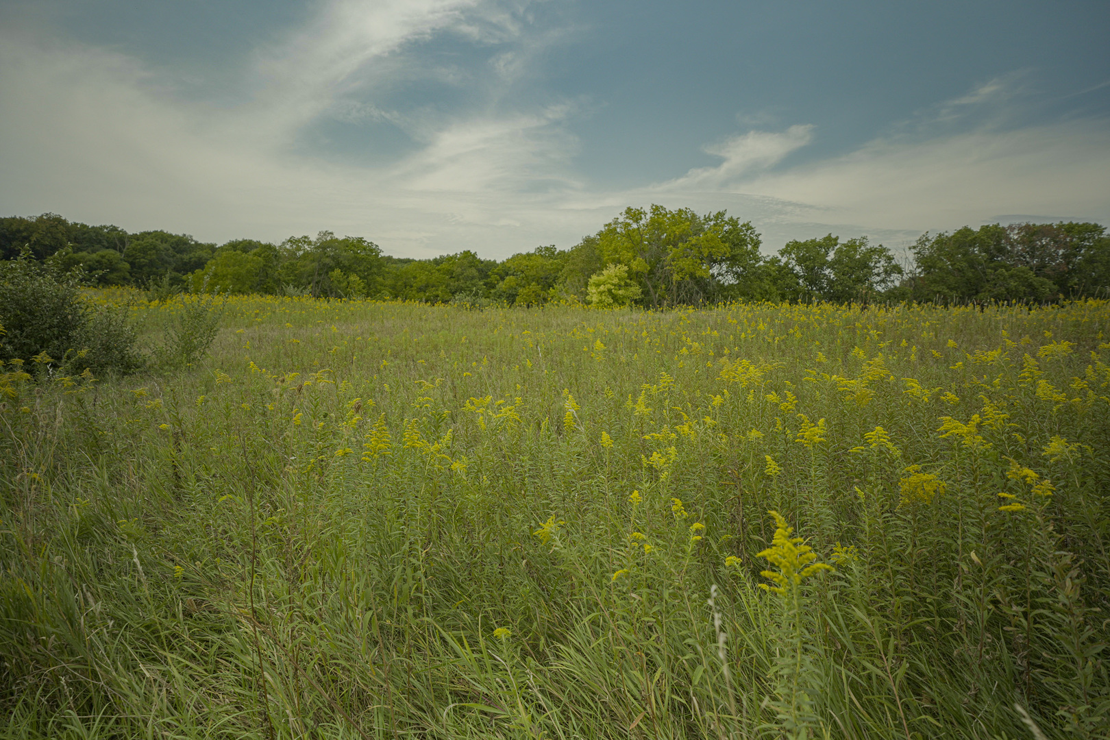 4820 Kopper Pond Road Hanover, IL 61041 - Photo 24 of 43