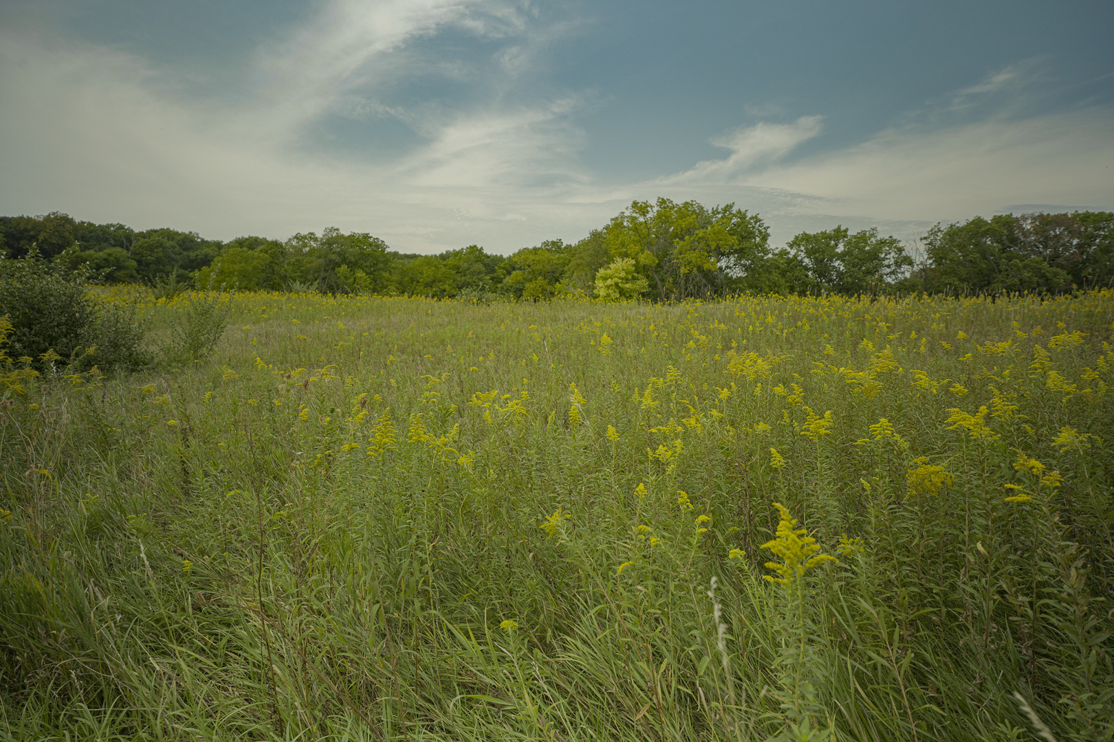 4820 Kopper Pond Road Hanover, IL 61041 - Photo 25 of 43