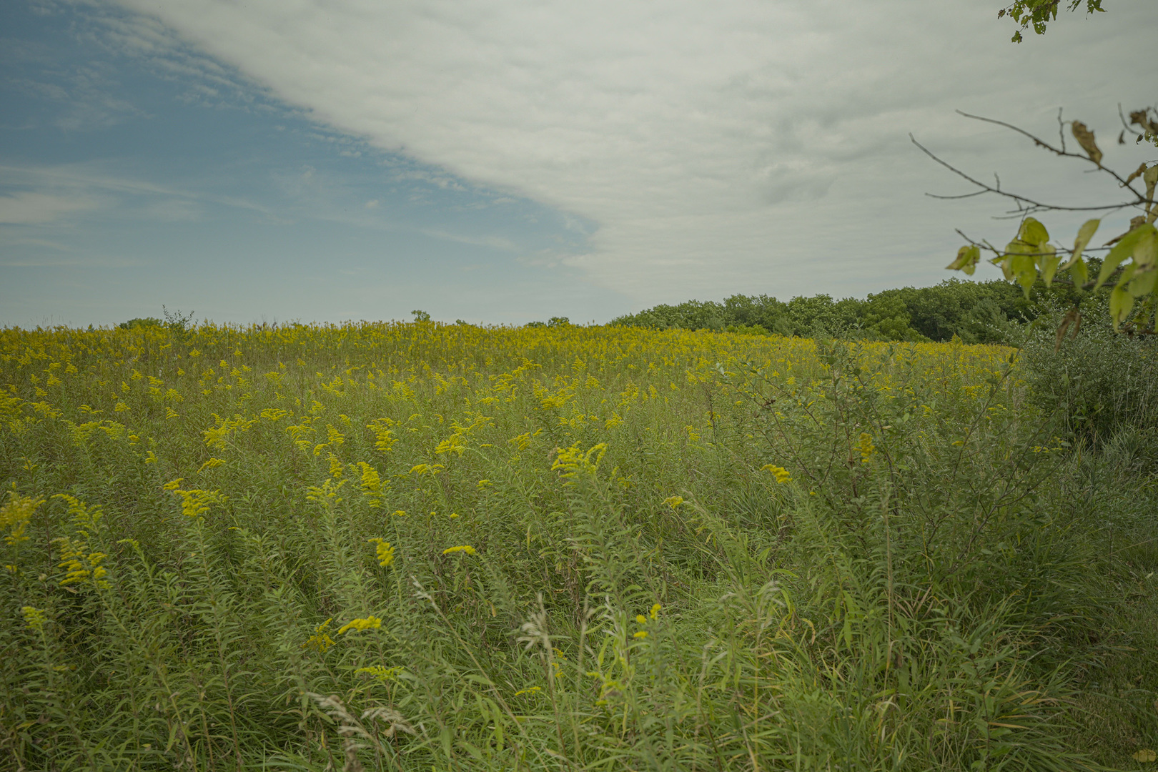 4820 Kopper Pond Road Hanover, IL 61041 - Photo 26 of 43