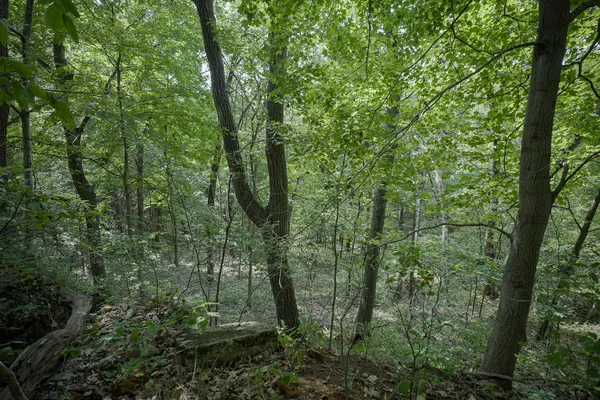 $80,000 | 4820 Kopper Pond Road, Hanover, IL 61041