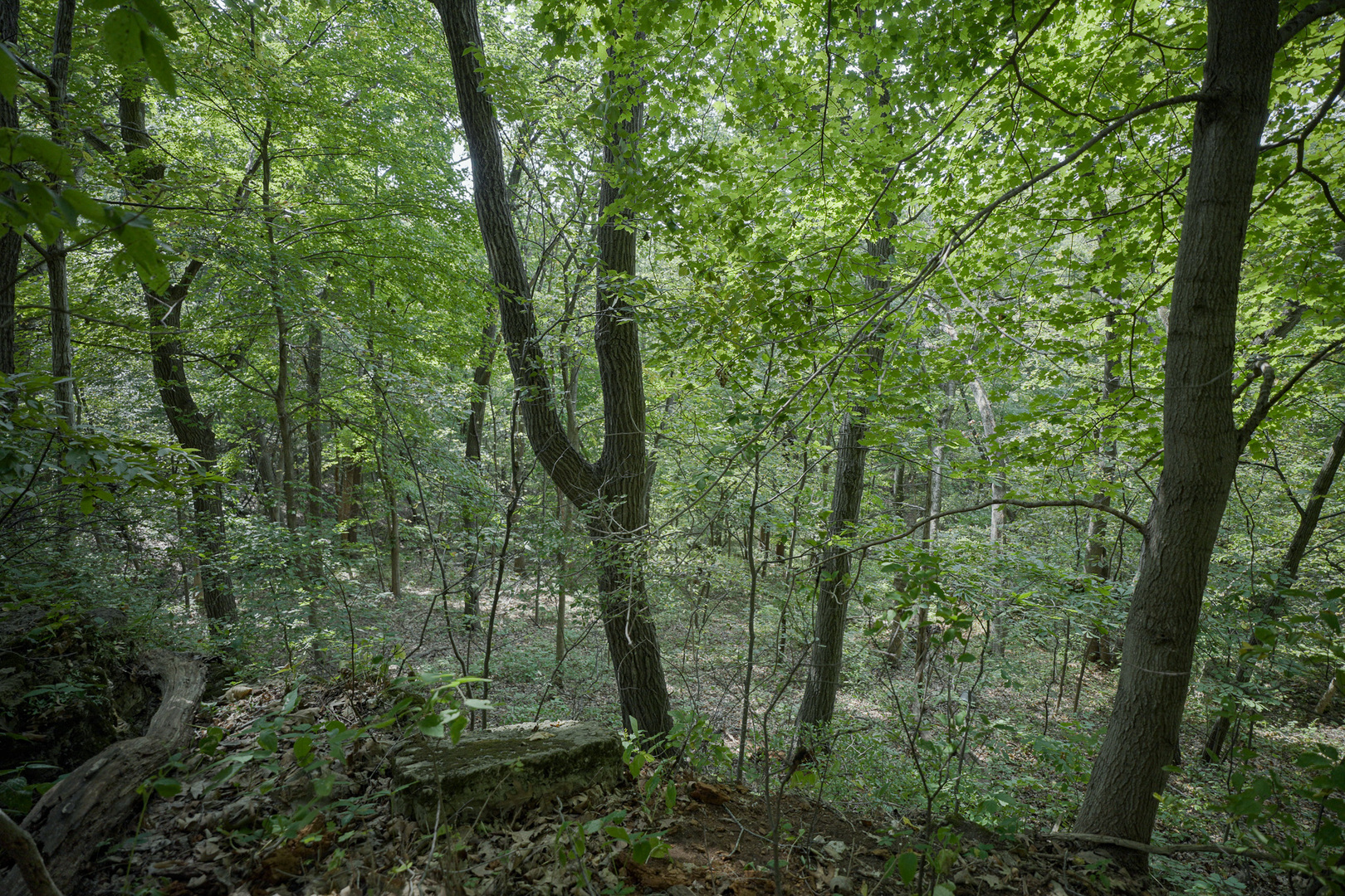 4820 Kopper Pond Road Hanover, IL 61041 - Photo 3 of 43