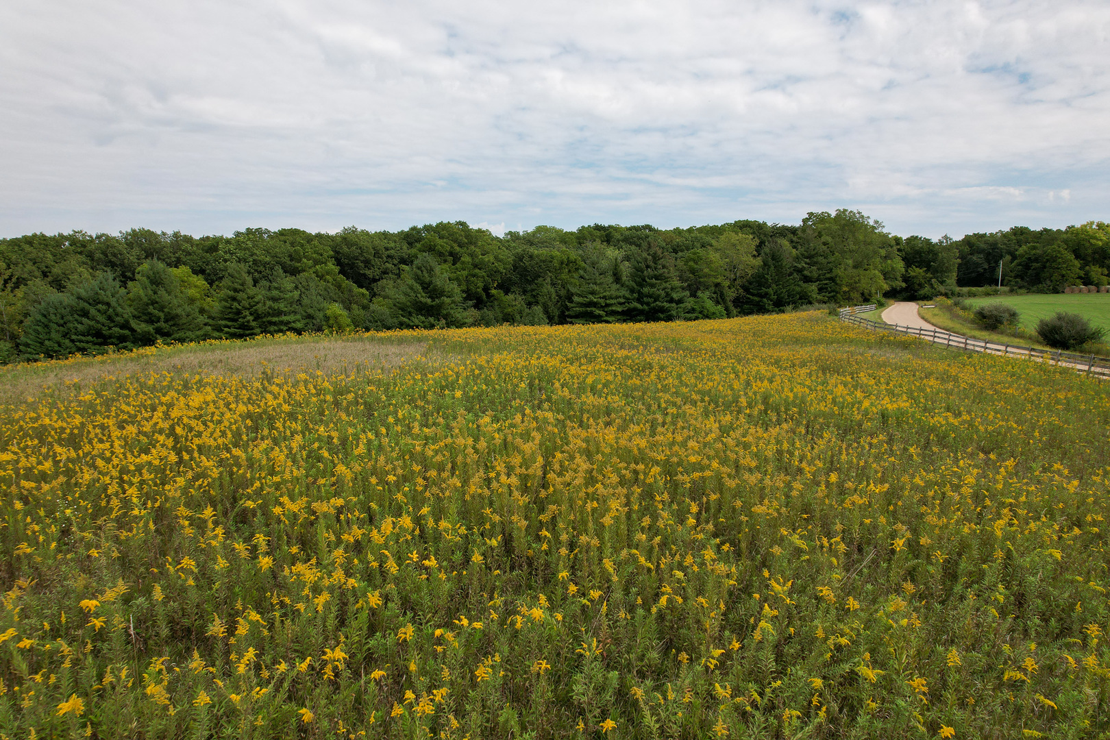 4820 Kopper Pond Road Hanover, IL 61041 - Photo 36 of 43