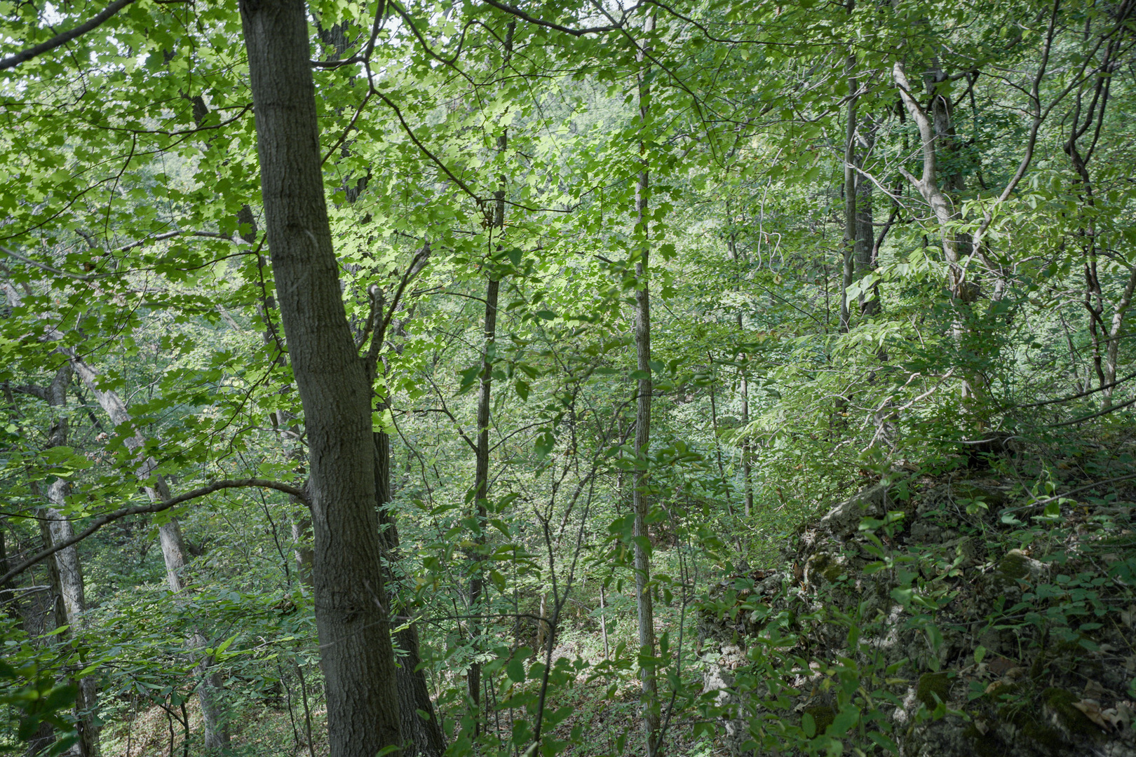 4820 Kopper Pond Road Hanover, IL 61041 - Photo 4 of 43