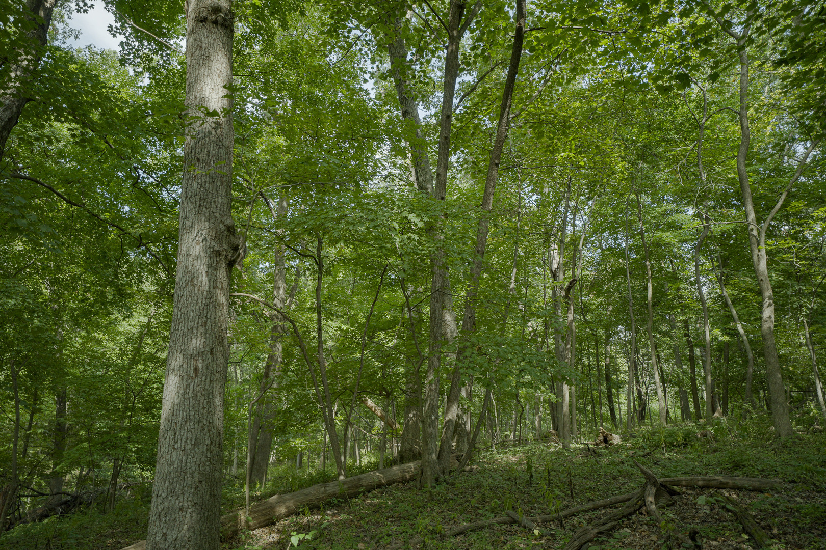 4820 Kopper Pond Road Hanover, IL 61041 - Photo 5 of 43