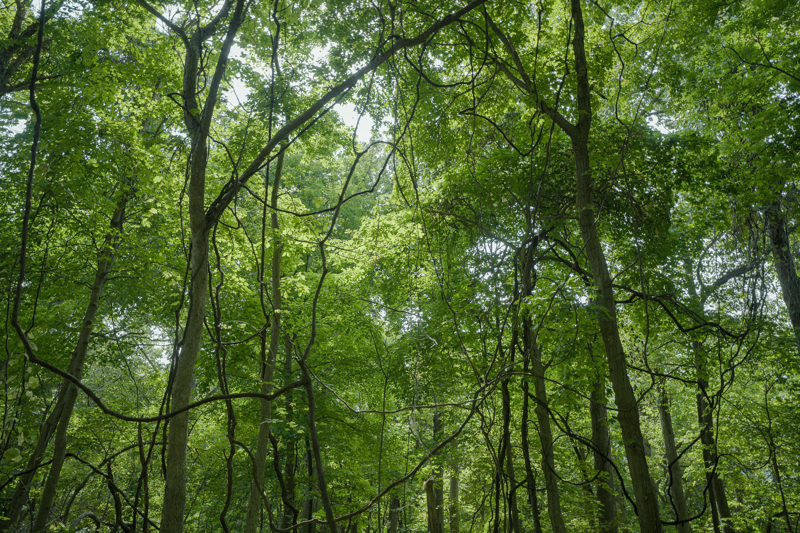 4820 Kopper Pond Road Hanover, IL 61041 - Photo 6 of 43