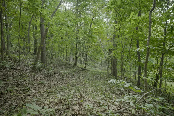 $80,000 | 4820 Kopper Pond Road, Hanover, IL 61041