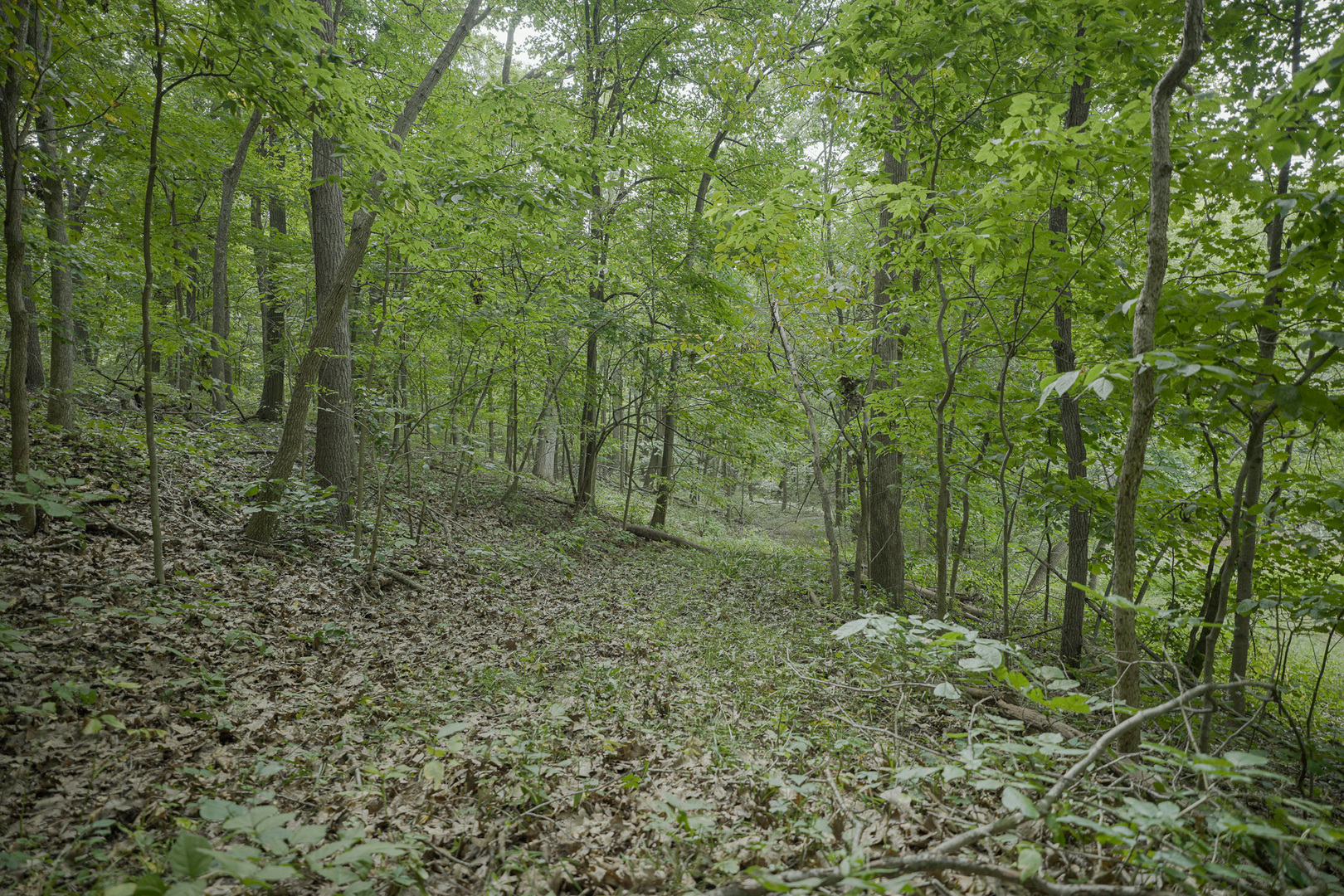 4820 Kopper Pond Road Hanover, IL 61041 - Photo 7 of 43