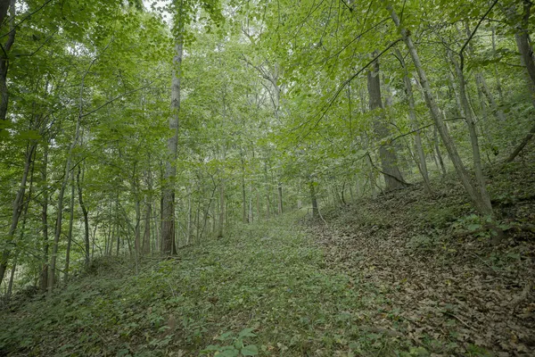 $80,000 | 4820 Kopper Pond Road, Hanover, IL 61041