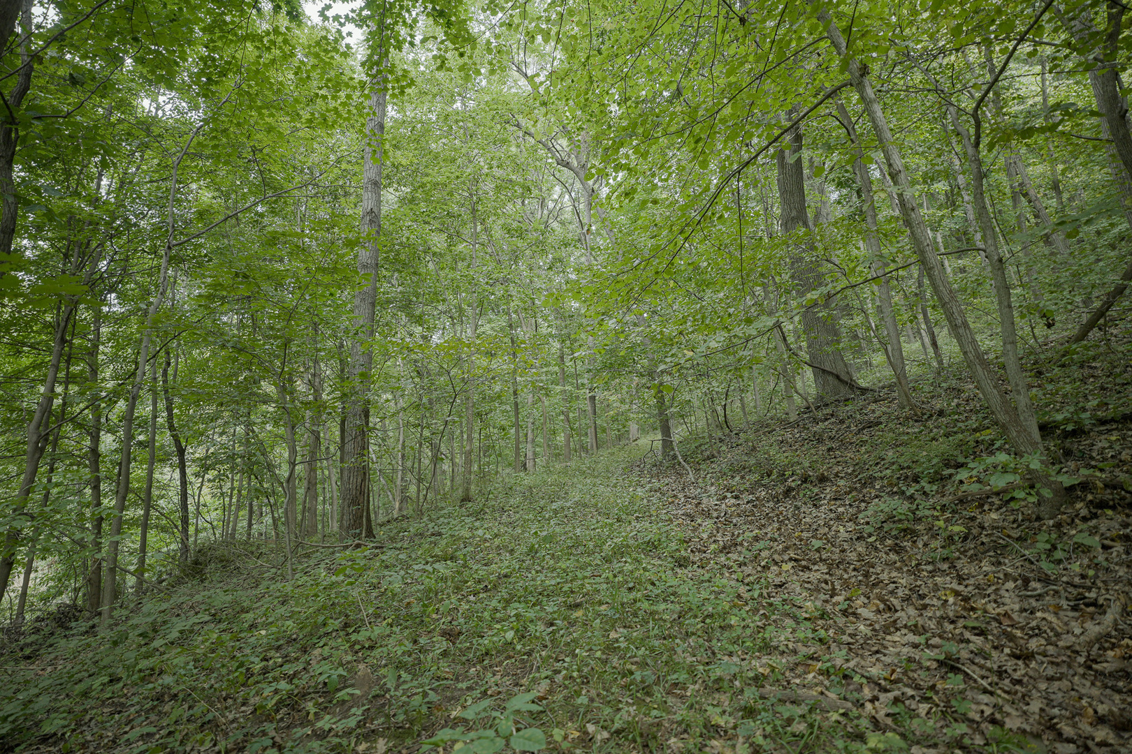 4820 Kopper Pond Road Hanover, IL 61041 - Photo 8 of 43