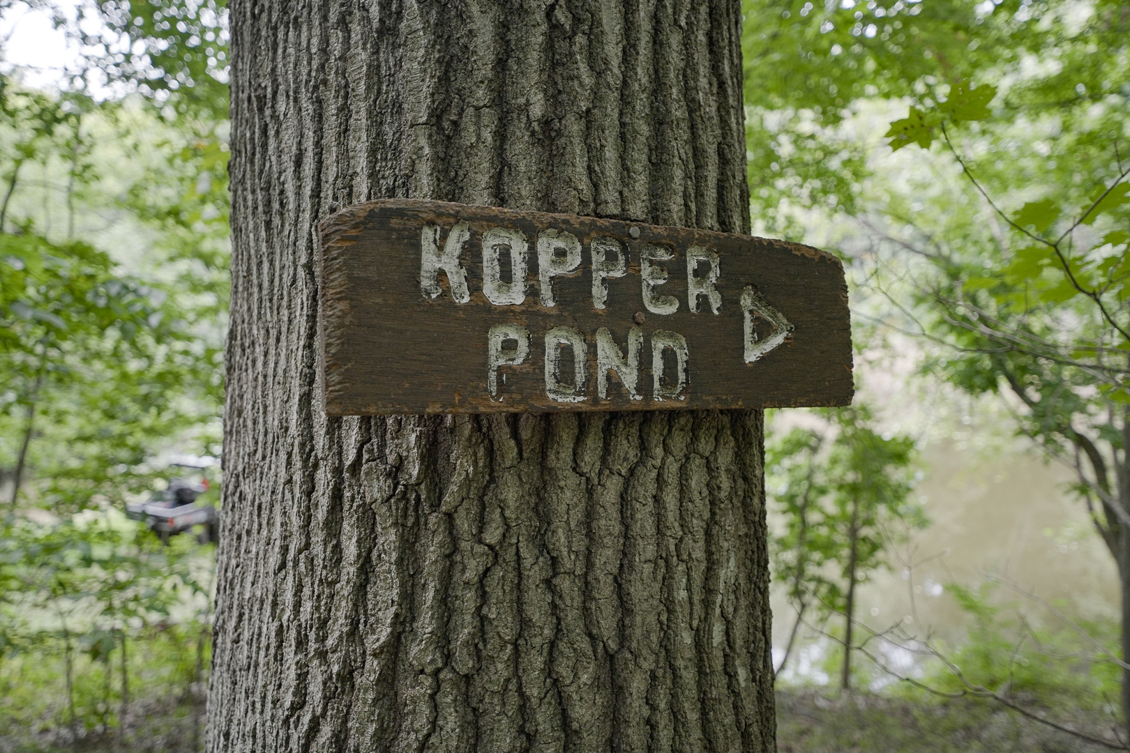 4820 Kopper Pond Road Hanover, IL 61041 - Photo 10 of 43