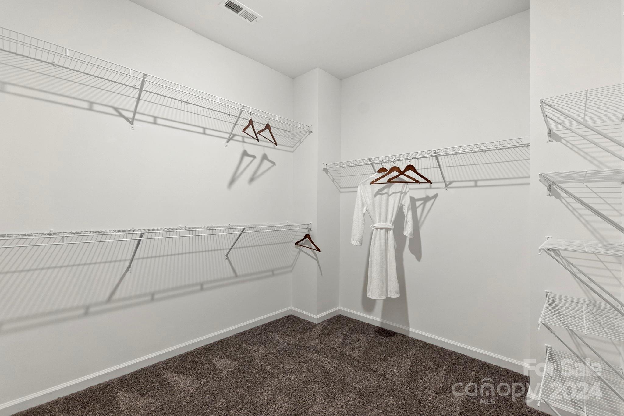 1133 Lost Cv Road Indian Land, SC 29707 - Photo 23 of 42 a view of walk in closet with empty racks