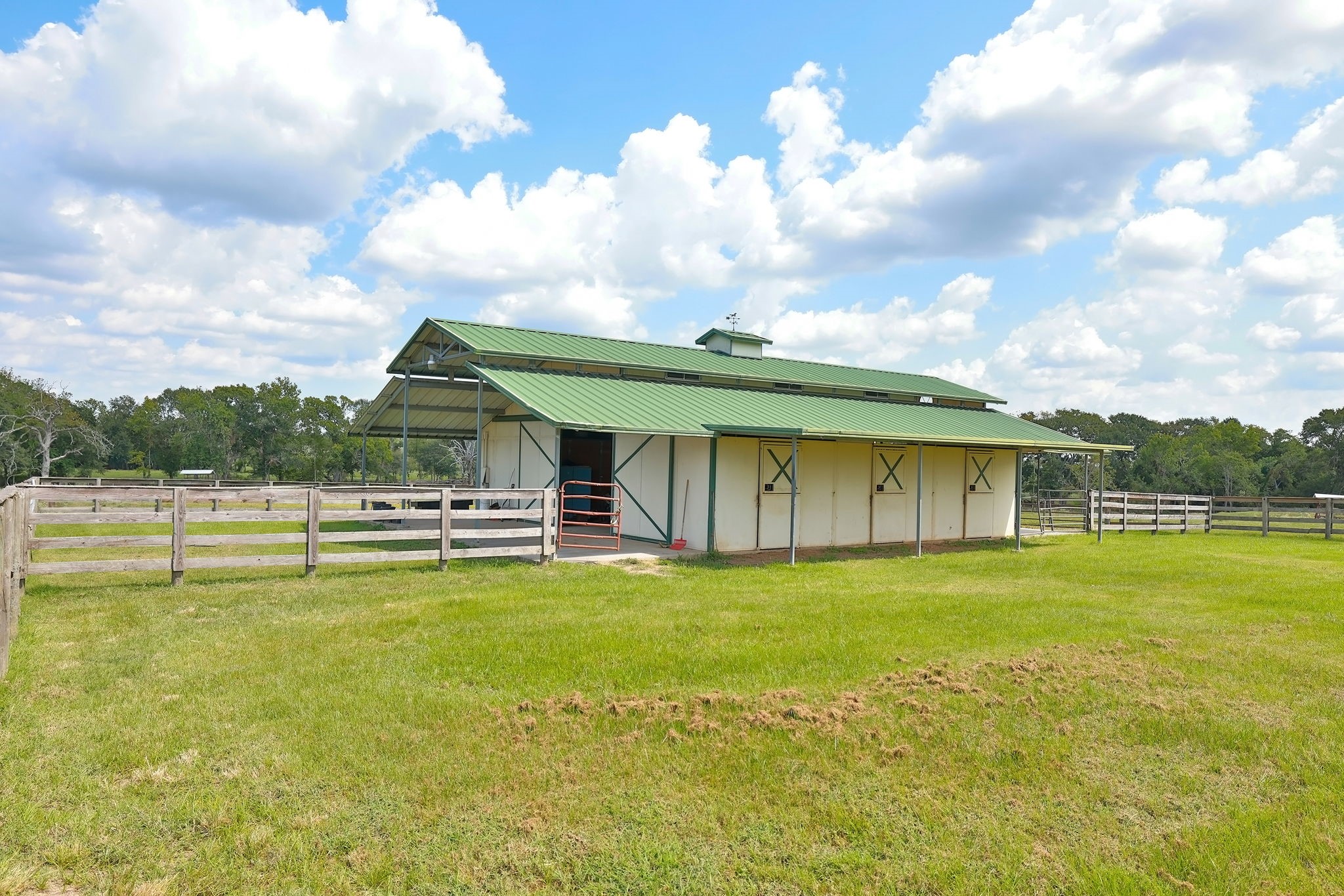 24783 Nine Bar Road Hempstead, TX 77445 - Photo 15 of 42 a view of a house with a big yard and a large tree