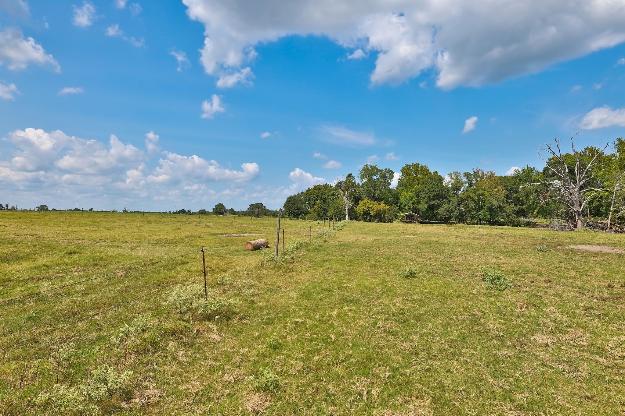 24783 Nine Bar Road Hempstead, TX 77445 - Photo 19 of 42 a view of an ocean and a yard