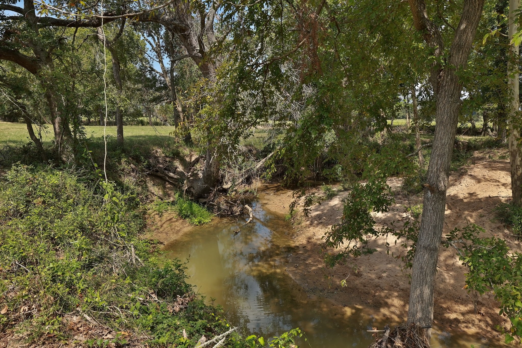 24783 Nine Bar Road Hempstead, TX 77445 - Photo 22 of 42 a view of a lake with a tree